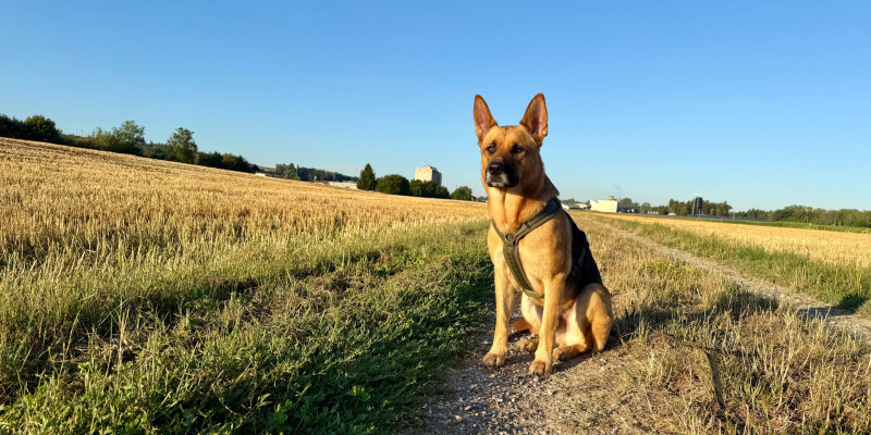 Hinter jedem Verhalten steckt eine Geschichte