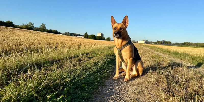 Hinter jedem Verhalten steckt eine Geschichte