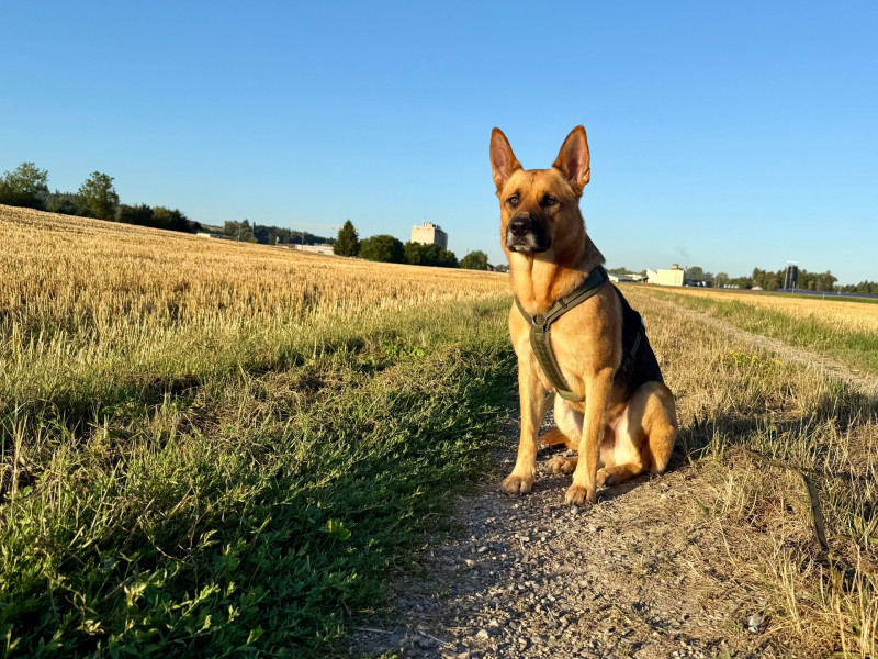 Hinter jedem Verhalten steckt eine Geschichte